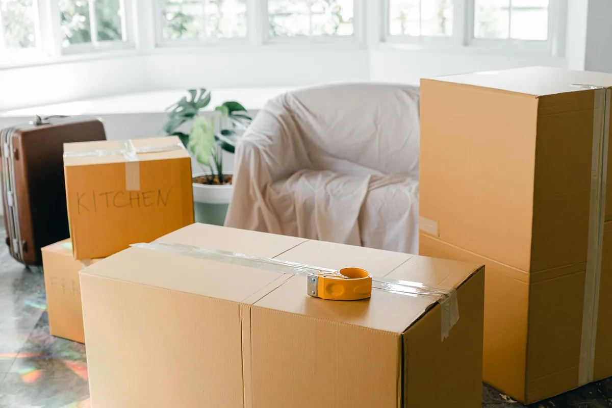 Hoarding Cleanup in Newcastle, CA